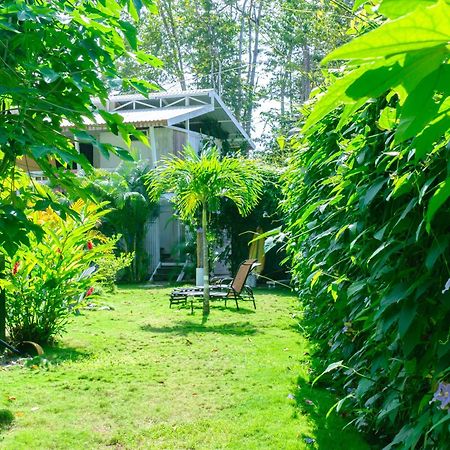 Olivia Del Caribe Suite Puerto Viejo de Talamanca المظهر الخارجي الصورة