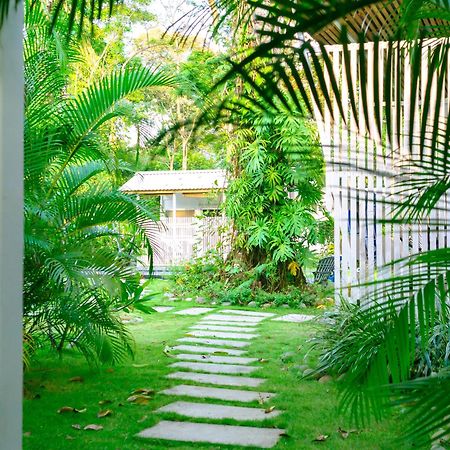 Olivia Del Caribe Suite Puerto Viejo de Talamanca المظهر الخارجي الصورة