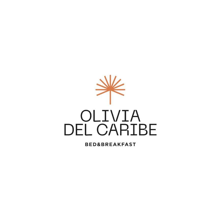 Olivia Del Caribe Suite Puerto Viejo de Talamanca المظهر الخارجي الصورة