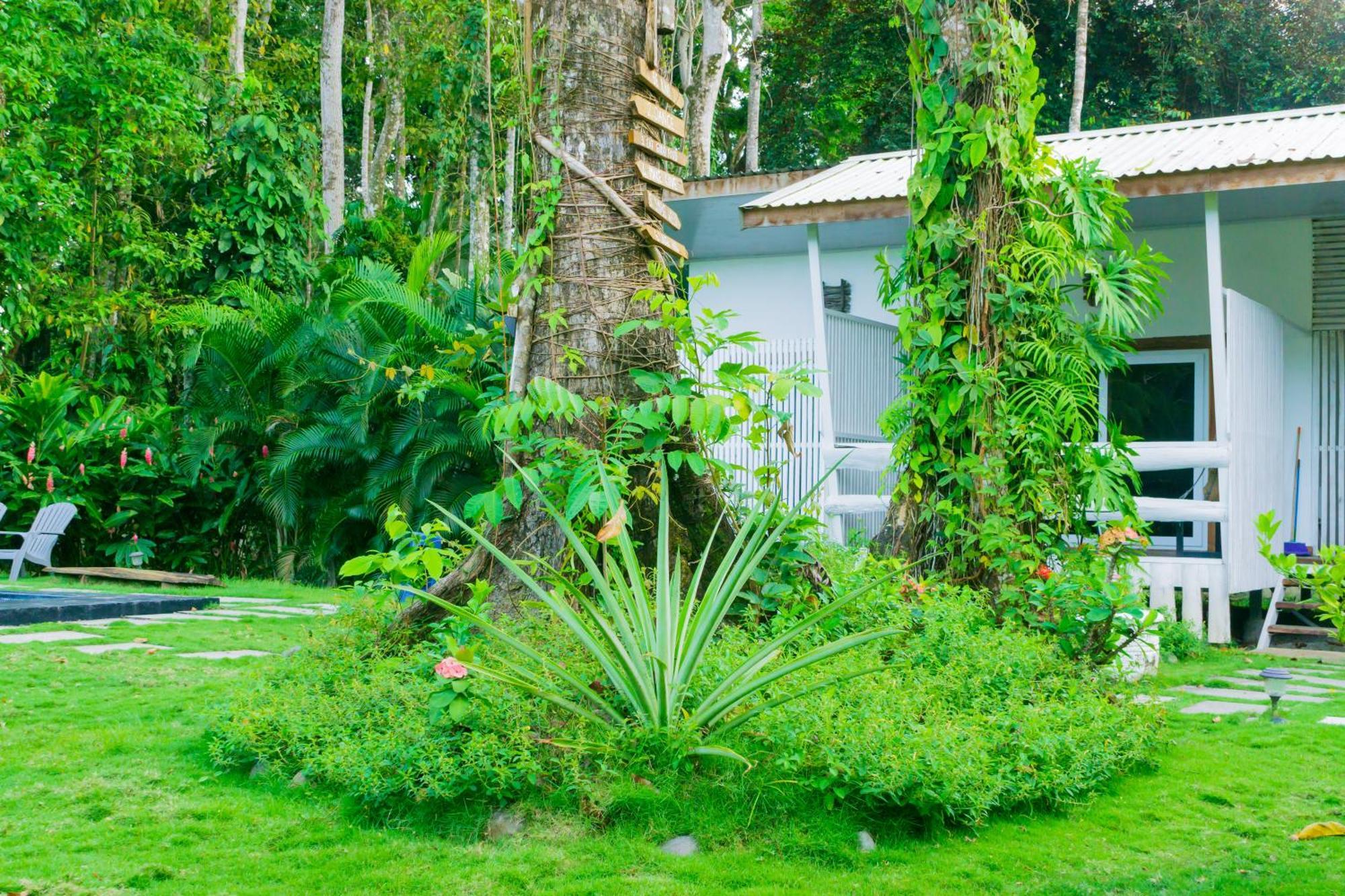 Olivia Del Caribe Suite Puerto Viejo de Talamanca المظهر الخارجي الصورة