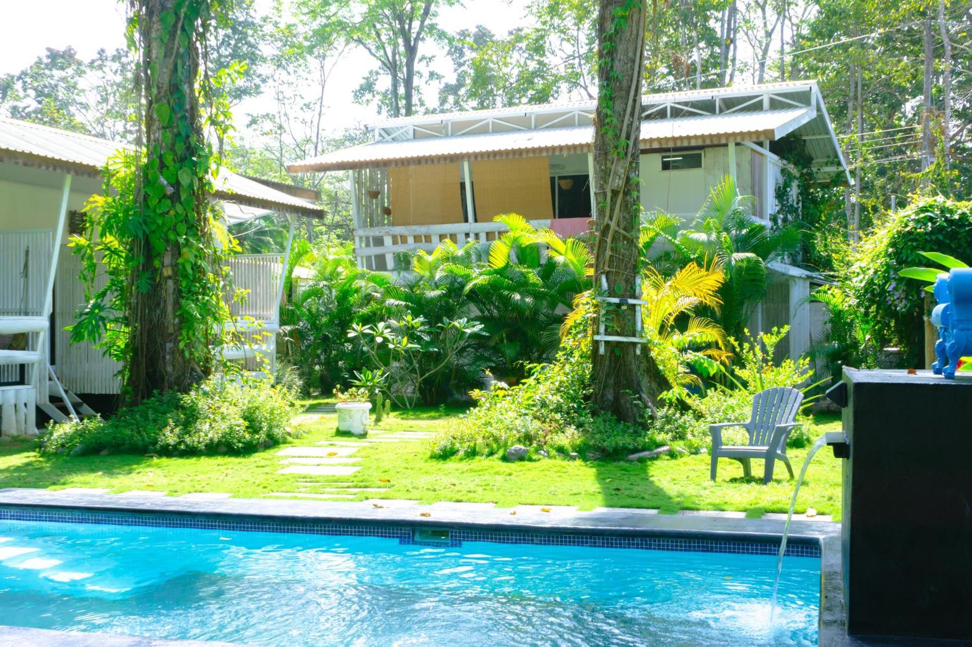 Olivia Del Caribe Suite Puerto Viejo de Talamanca المظهر الخارجي الصورة