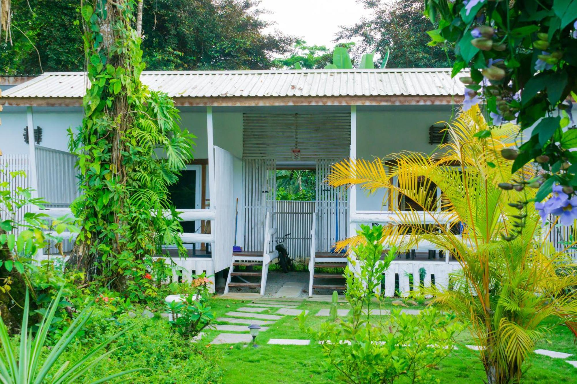 Olivia Del Caribe Suite Puerto Viejo de Talamanca المظهر الخارجي الصورة