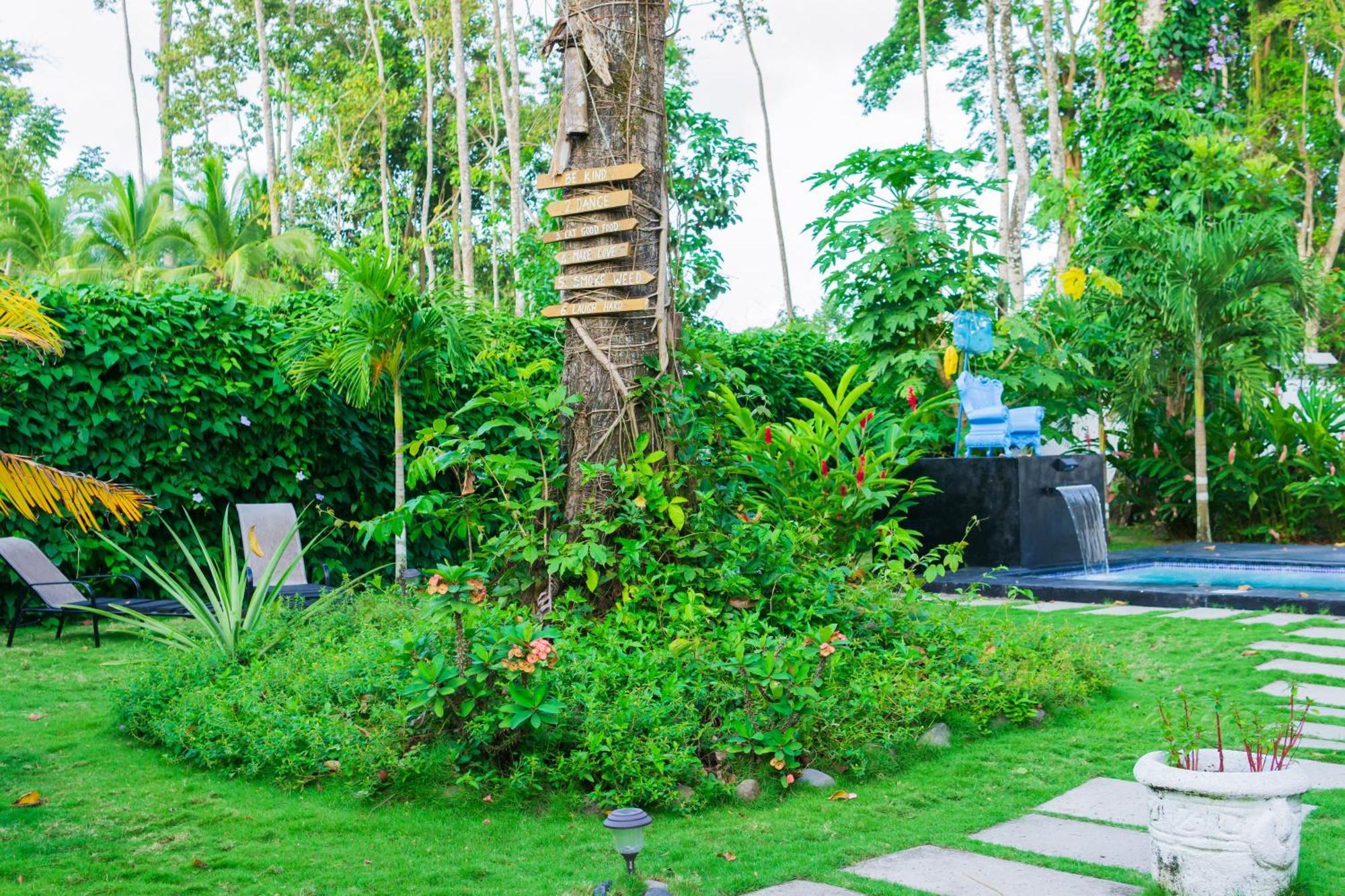 Olivia Del Caribe Suite Puerto Viejo de Talamanca المظهر الخارجي الصورة