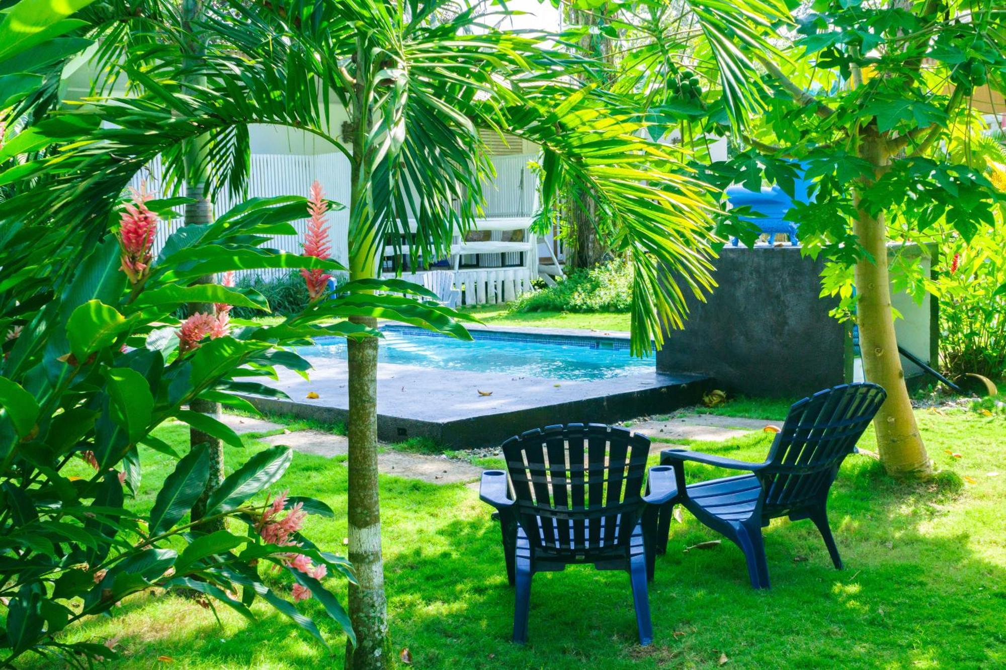 Olivia Del Caribe Suite Puerto Viejo de Talamanca المظهر الخارجي الصورة