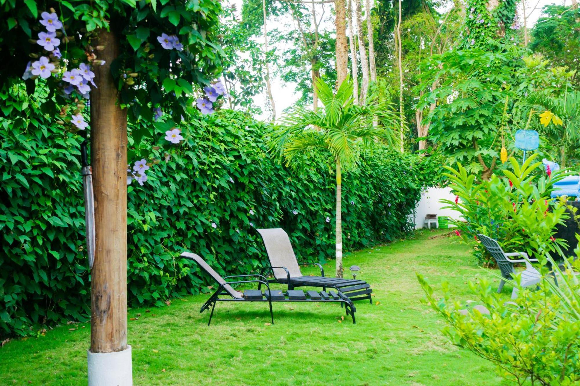 Olivia Del Caribe Suite Puerto Viejo de Talamanca المظهر الخارجي الصورة