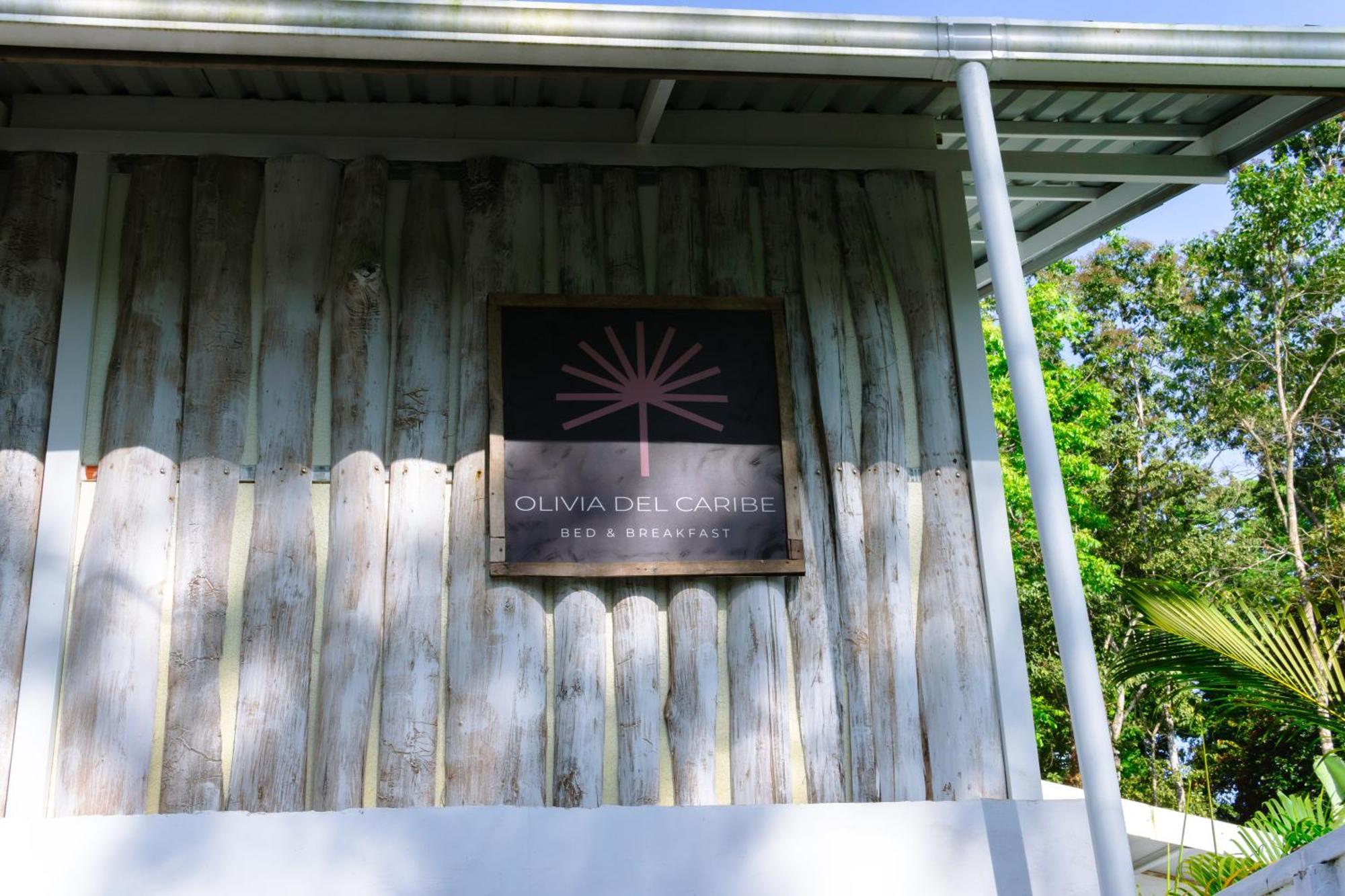 Olivia Del Caribe Suite Puerto Viejo de Talamanca المظهر الخارجي الصورة