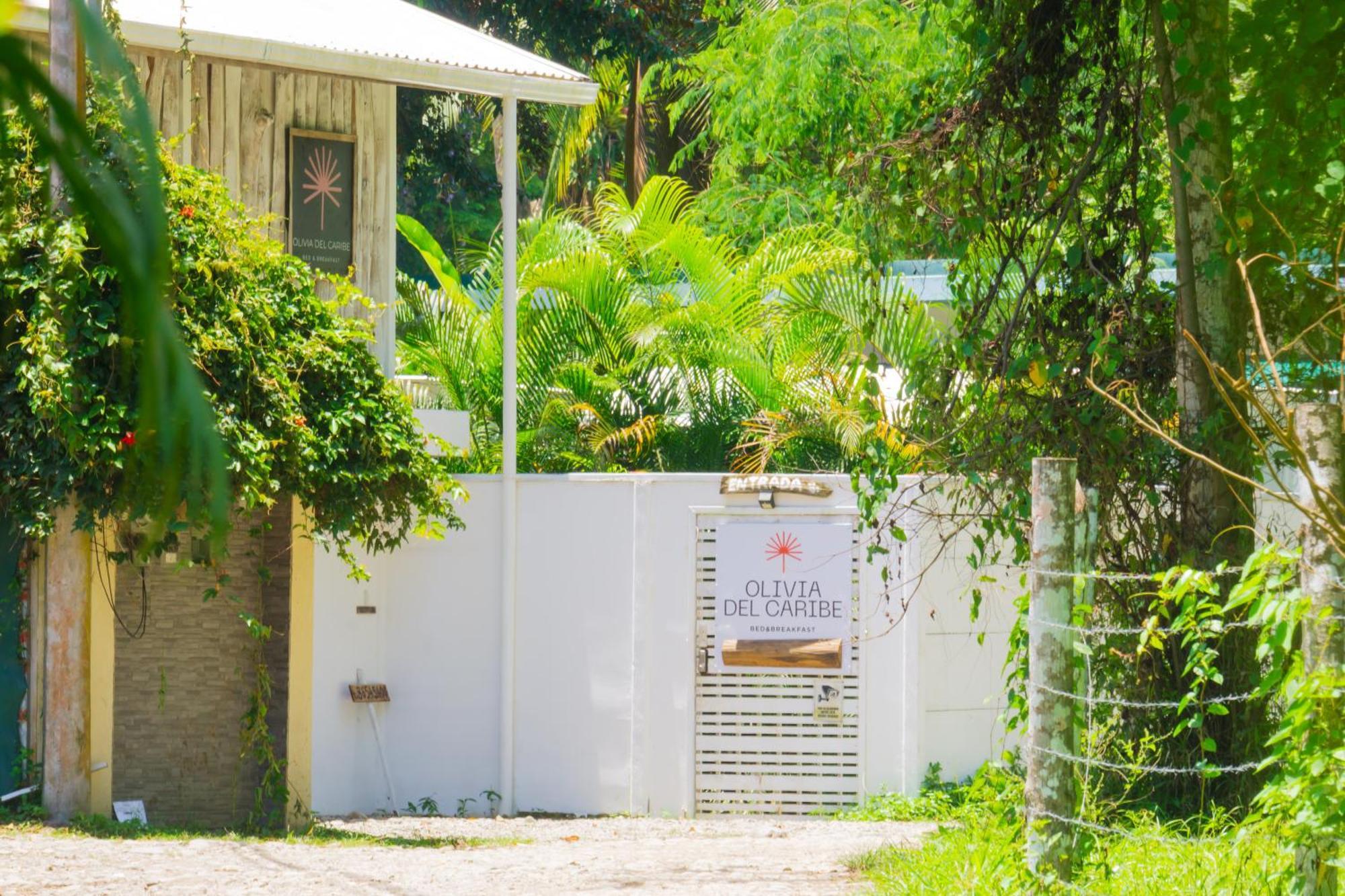 Olivia Del Caribe Suite Puerto Viejo de Talamanca المظهر الخارجي الصورة